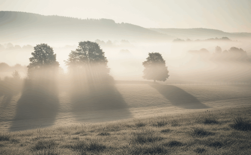 You are a mist (James 4:14)